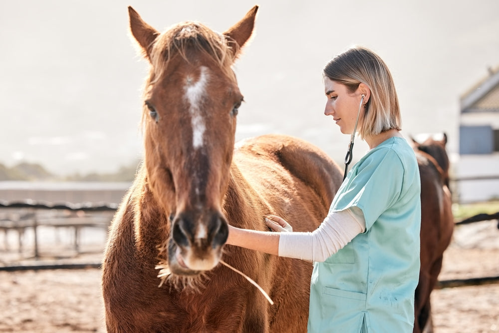 Why Does My Horse Crib, Weave or Stall-Walk?