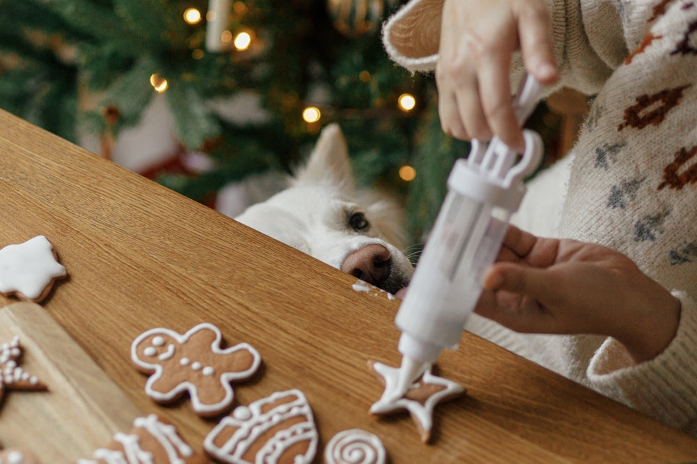Vet-Approved Guide: 6 Merry and Bright Holiday Treat Recipes for Pets 🎄🐾