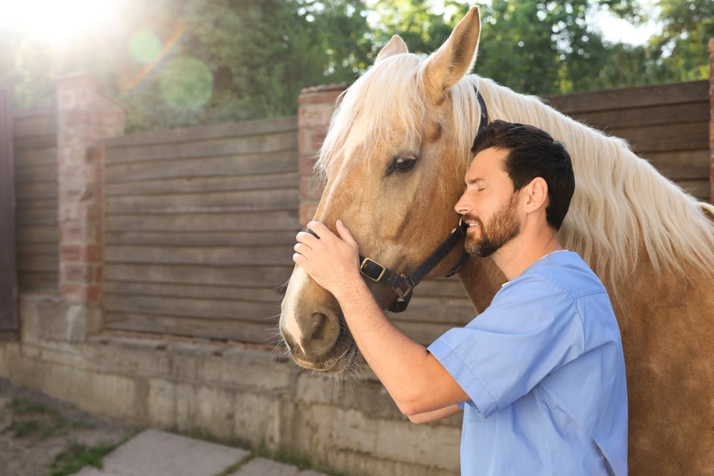 Is Prednisolone Safe for Horses with Laminitis, EMS or Cushing’s Disease?