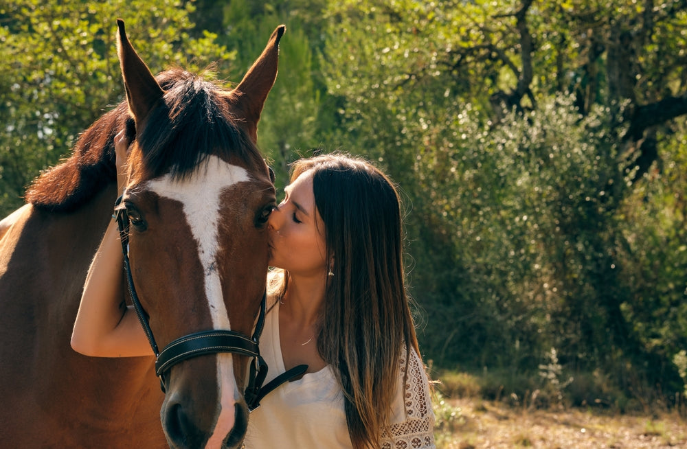 Grazing Muzzles for Horses: Vet-Approved Weight Loss Strategy in 2025 🐴🌿💪