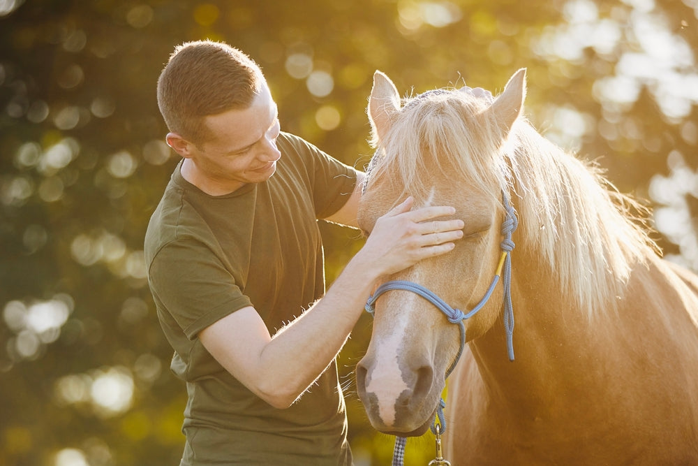 Vet-Approved Guide to Reading Equine Facial Expressions for Stress 🐴😟 | 2025 Horse Behavior Insights