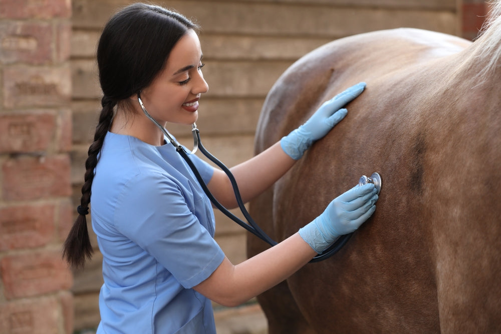Do Older Horses Need Senior Feed?