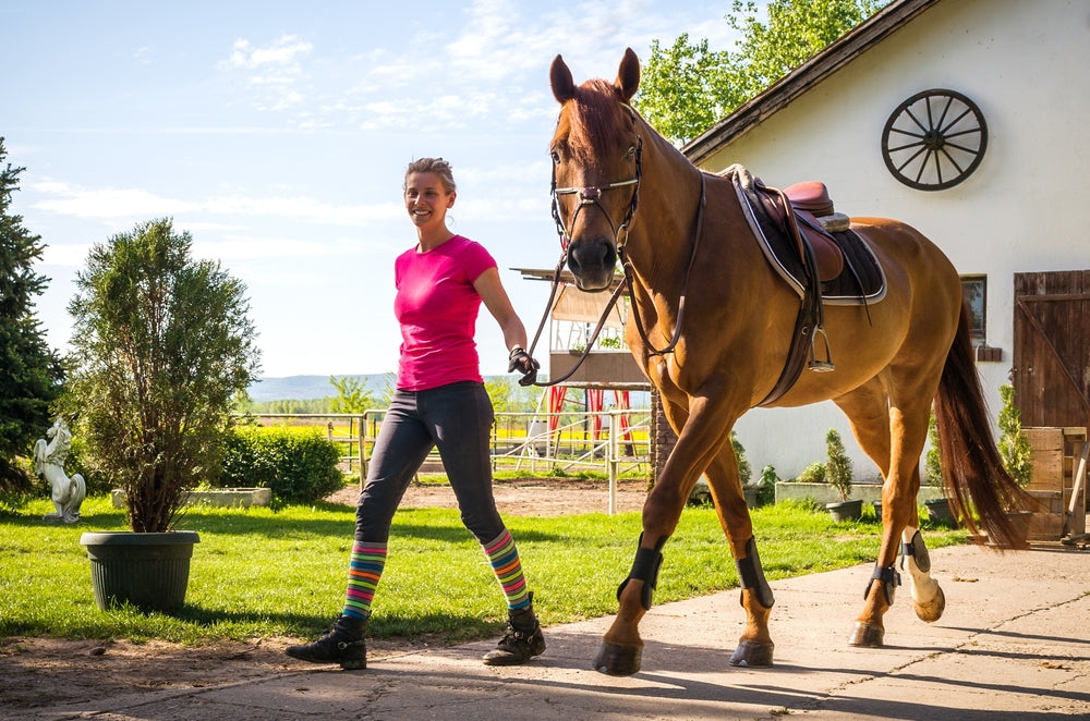Does Longeing Harm Horse Joints?