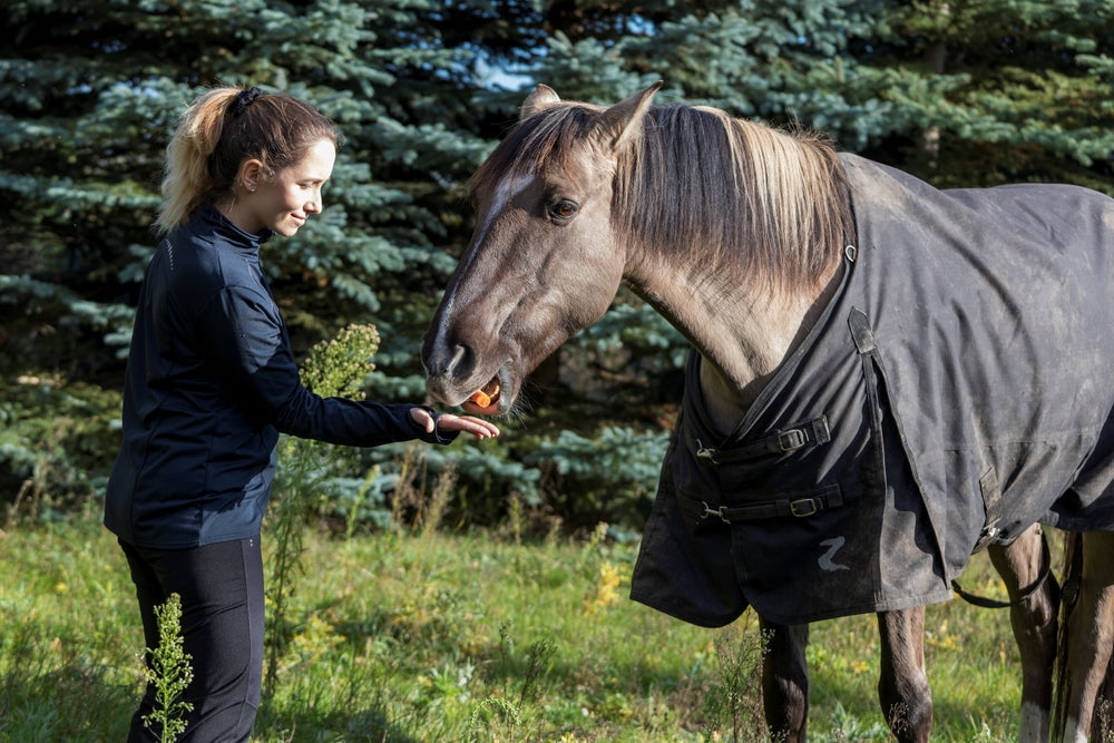 Fenbendazole for Horses: Uses, Resistance and When To Test First