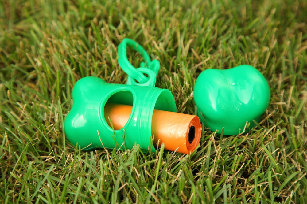 Do Plant-Based Dog Poo Bags Really Exist? A Vet Guide to “Eco-Friendly” Dog Bags