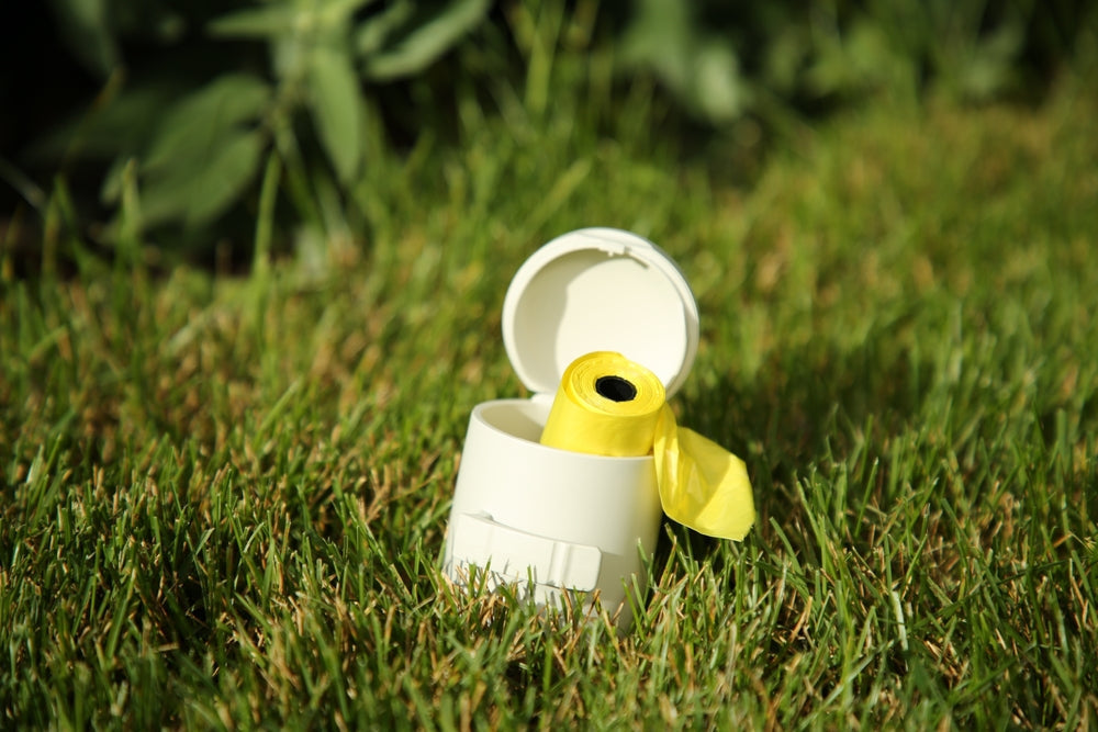 Are Biodegradable and Compostable Dog Poo Bags Really Eco-Friendly?