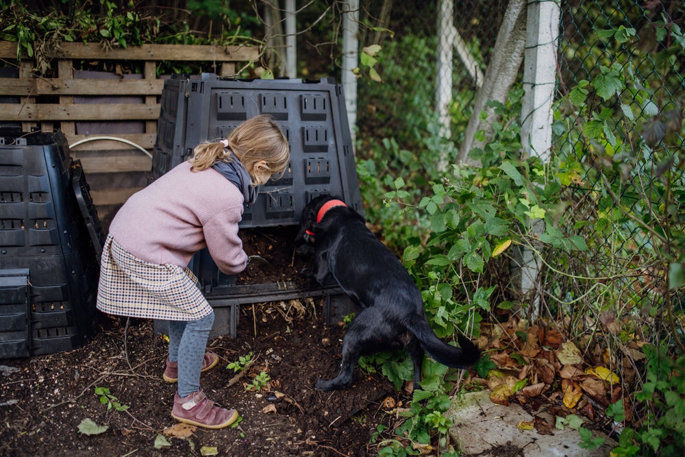 Can You Compost Dog Poo Safely?