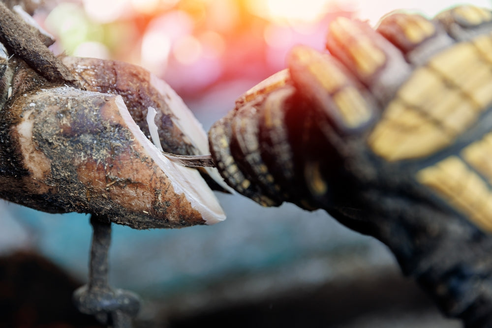 Are Your Horse’s Feet Trimmed Correctly?