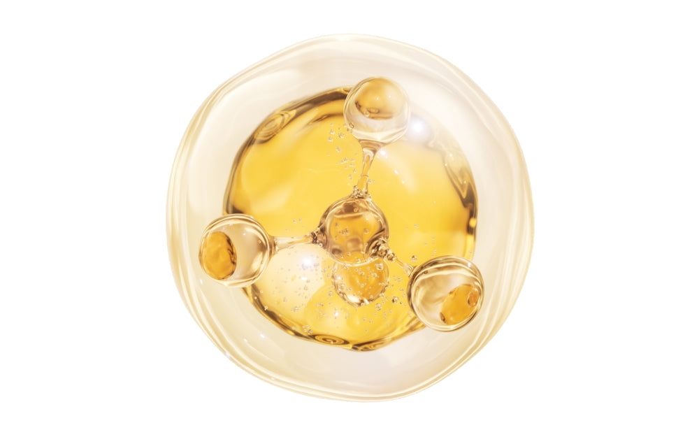 Vet-Approved Guide: Undenatured Type II Collagen and How It Supports Your Pet’s Health 🦴🐾