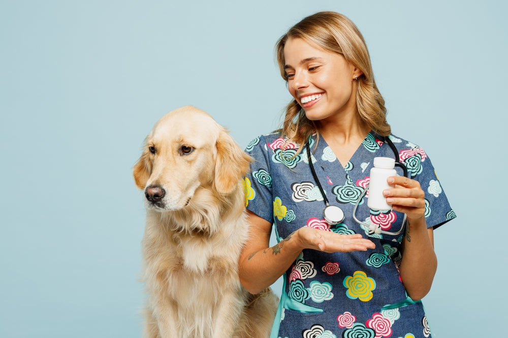 Vet Guide to Compounding Pharmacies for Pets
