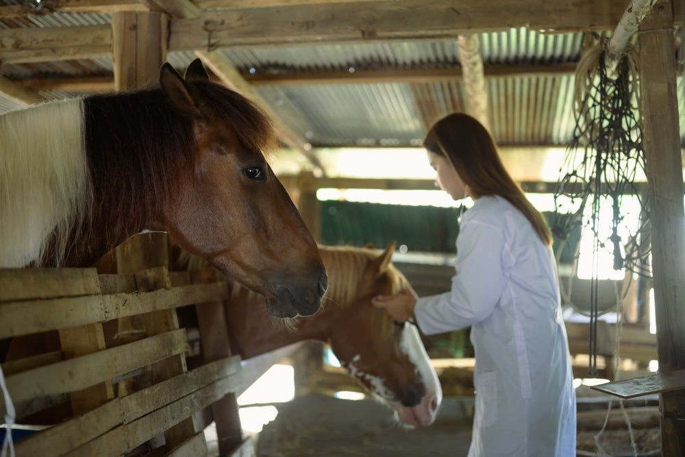 Vet Strategies to Prevent Dewormer Resistance in Horses 🐴💊 | 2025 Parasite Control Guide