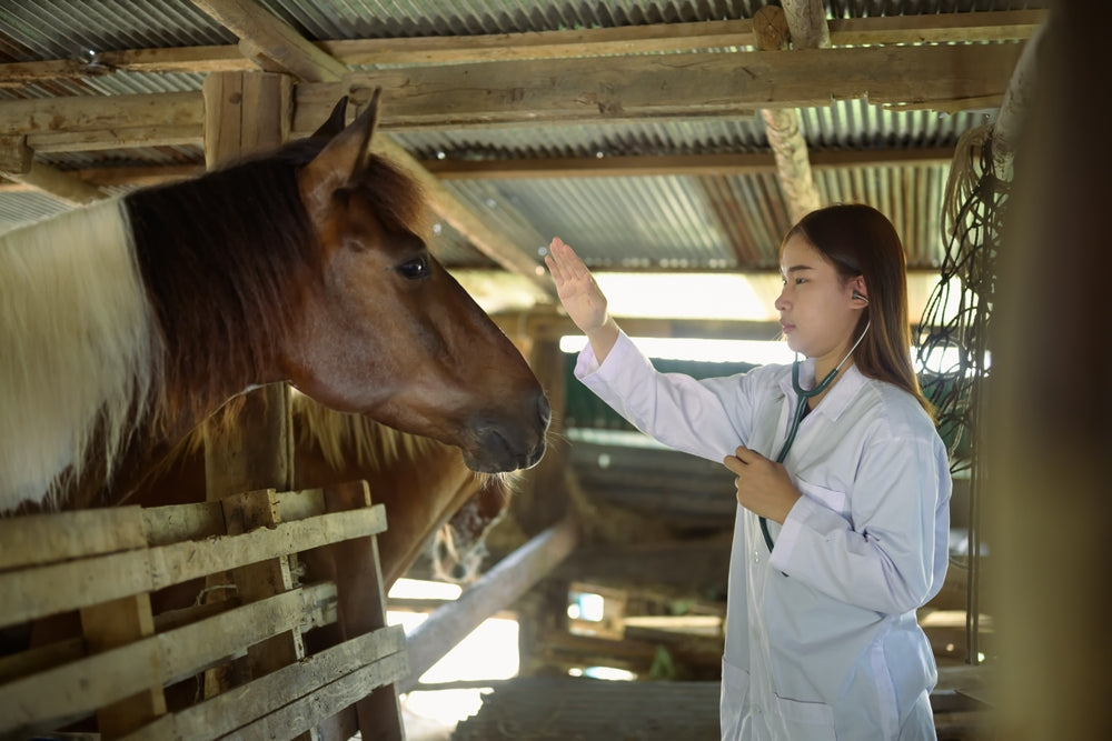 New Deworming Recommendations for Horses