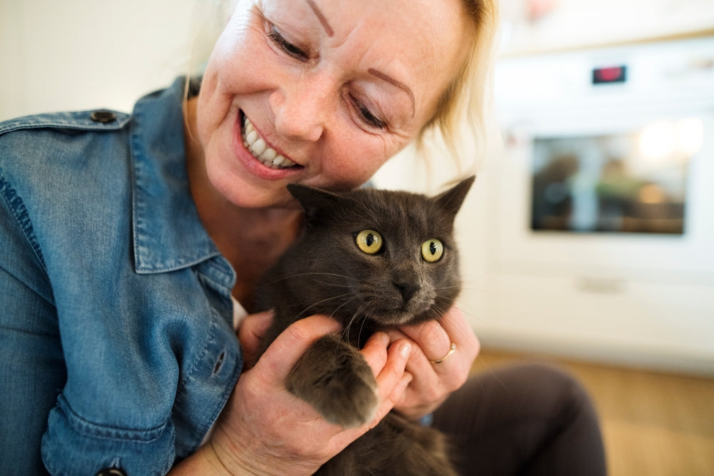 Glipizide for Cats