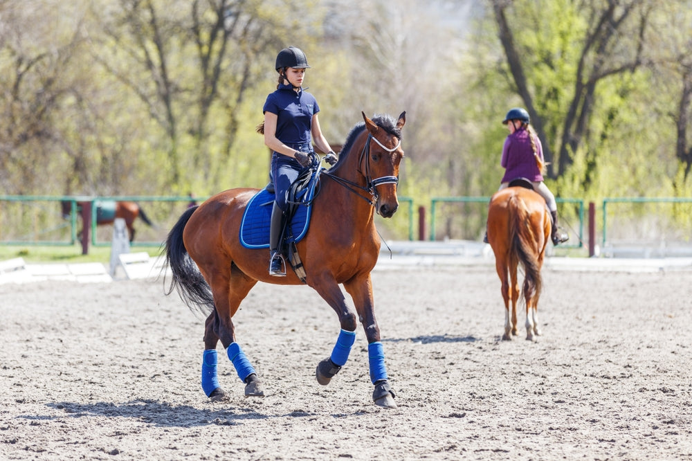 Dust Management in Riding Arenas