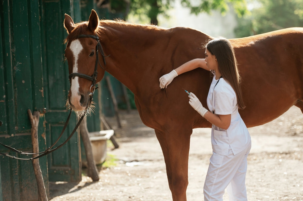 Standalone vs Combination West Nile Vaccine for Horses: Which Is Better?