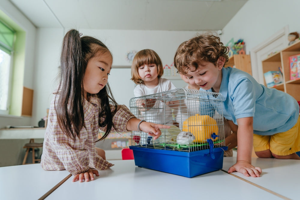 Classroom Pets: What to Consider Before Bringing Animals into School