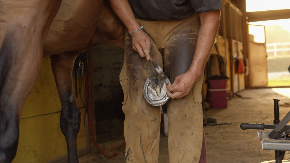 Hoof Wall Lacerations in Horses: What To Do and When It Is an Emergency