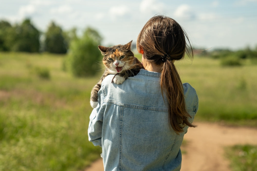 Taking Your Cat for Walks