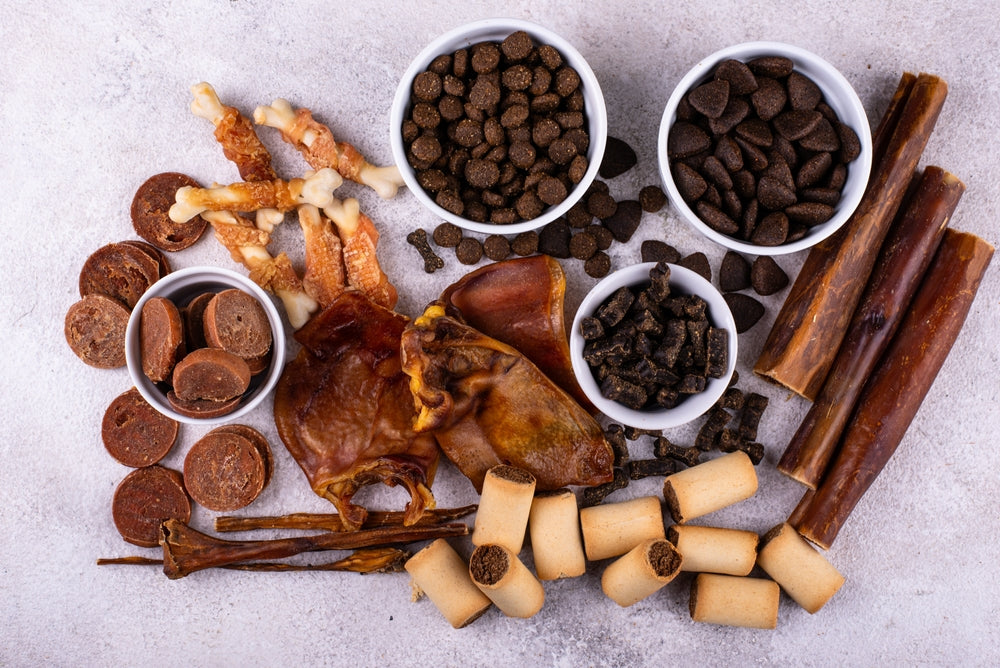What Are the Best Natural Treats for Dogs?