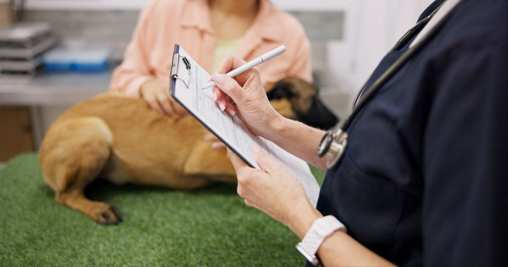 Doxorubicin for Dogs and Cats