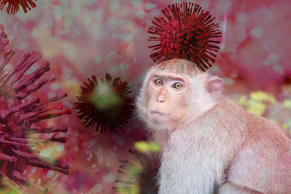 Monkeypox in Humans: What Pet Owners Should Know