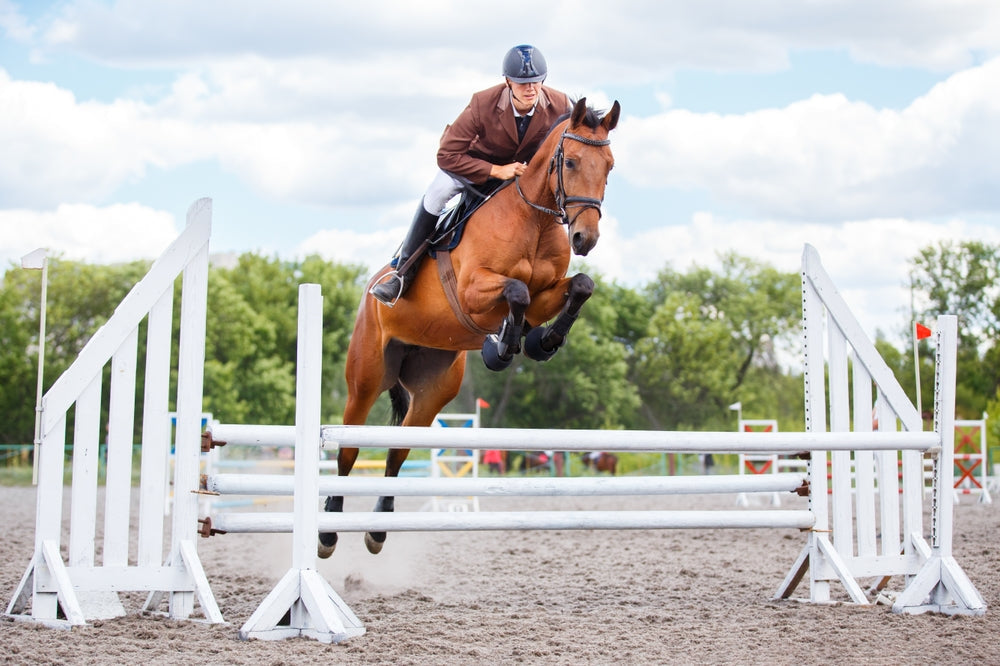 Phenibut in USEF Competition Horses