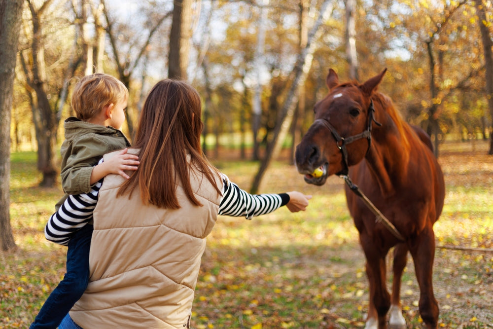 Can Horses Eat Bread Safely? Risks, Choke and When to Worry