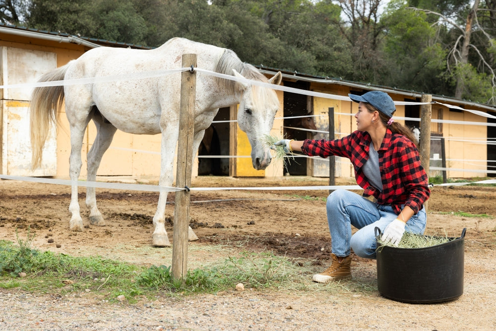 Feeding Horses with Pasture-Associated Laminitis