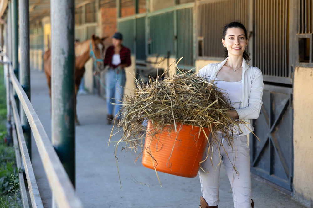 How to Choose Safe, High-Quality Hay for Your Horse