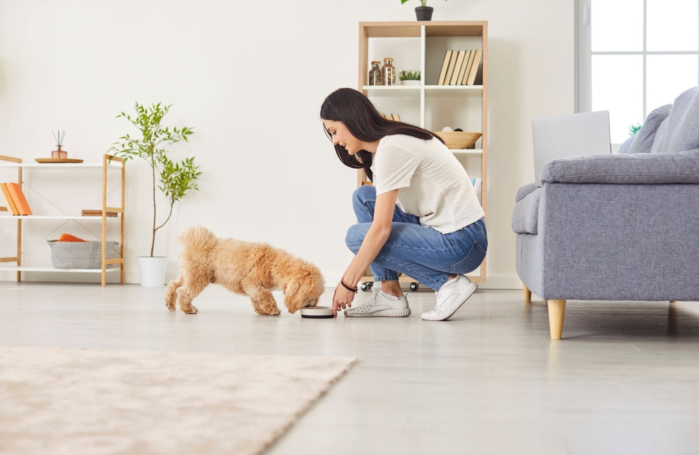 🦠🐾 Everything You Need to Know About Probiotics for Pets 🐶🐱💚
