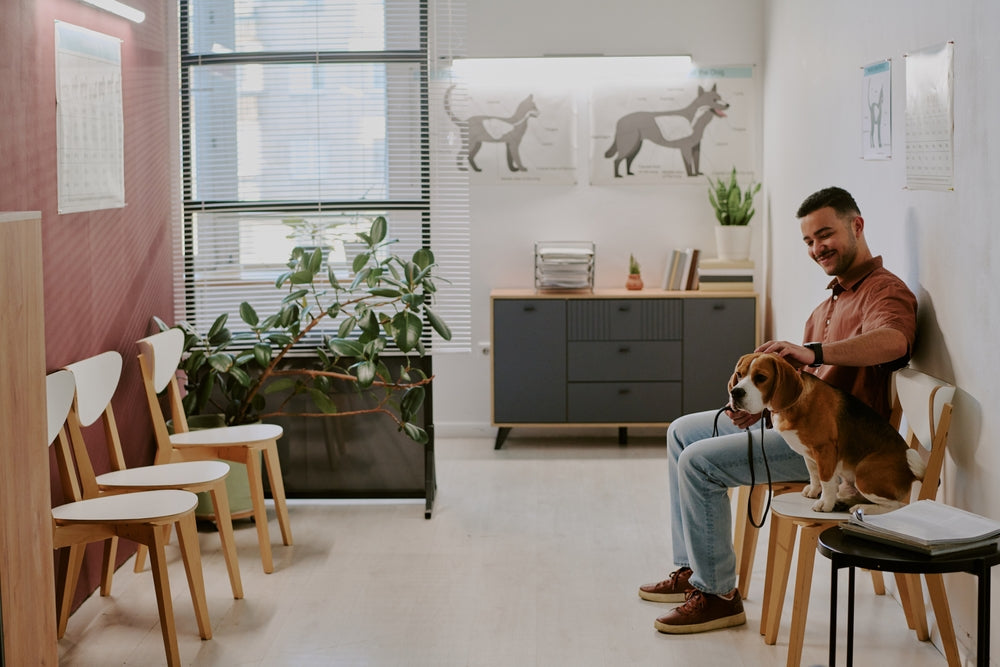 Waiting Room Etiquette for Pets and People