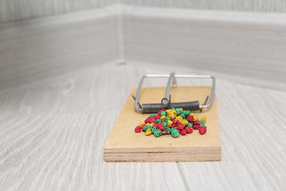 Dog Ate Rat Poison: What to Do in the First Hour