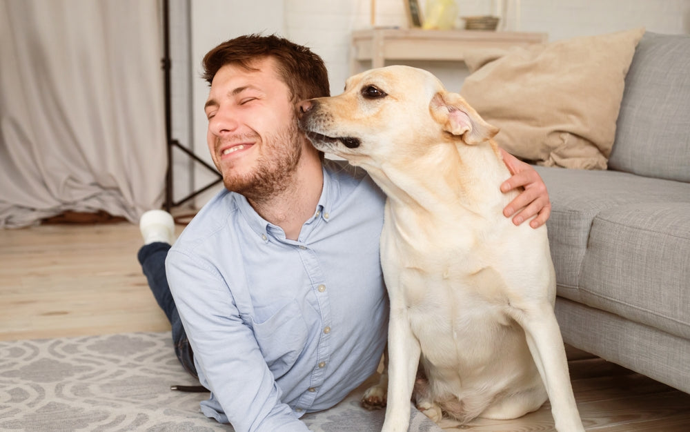 Can Dogs Detect Respiratory Disease in Calves Before Symptoms Appear?