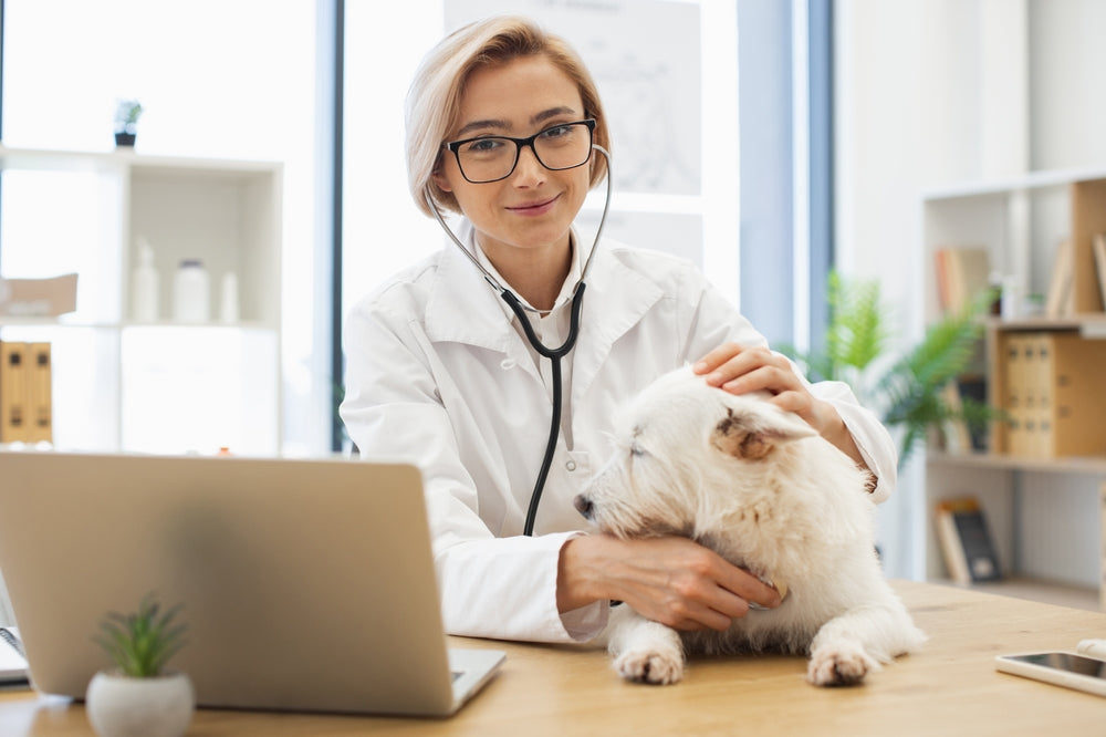 Fludrocortisone (Florinef®) for Dogs