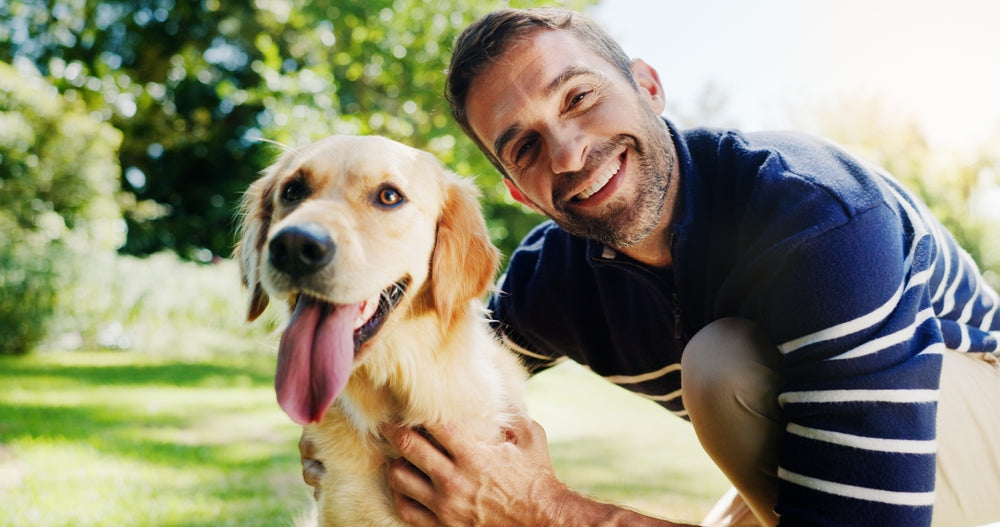 Pet Wellness Month Guide: Simple Ways to Improve Your Pet’s Health 🐶🐱✨