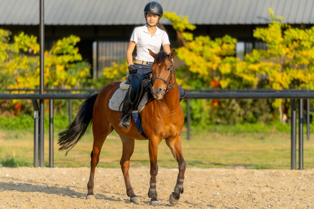 How Hot Is Too Hot to Ride a Horse? Temperature, Humidity and Heatstroke Signs