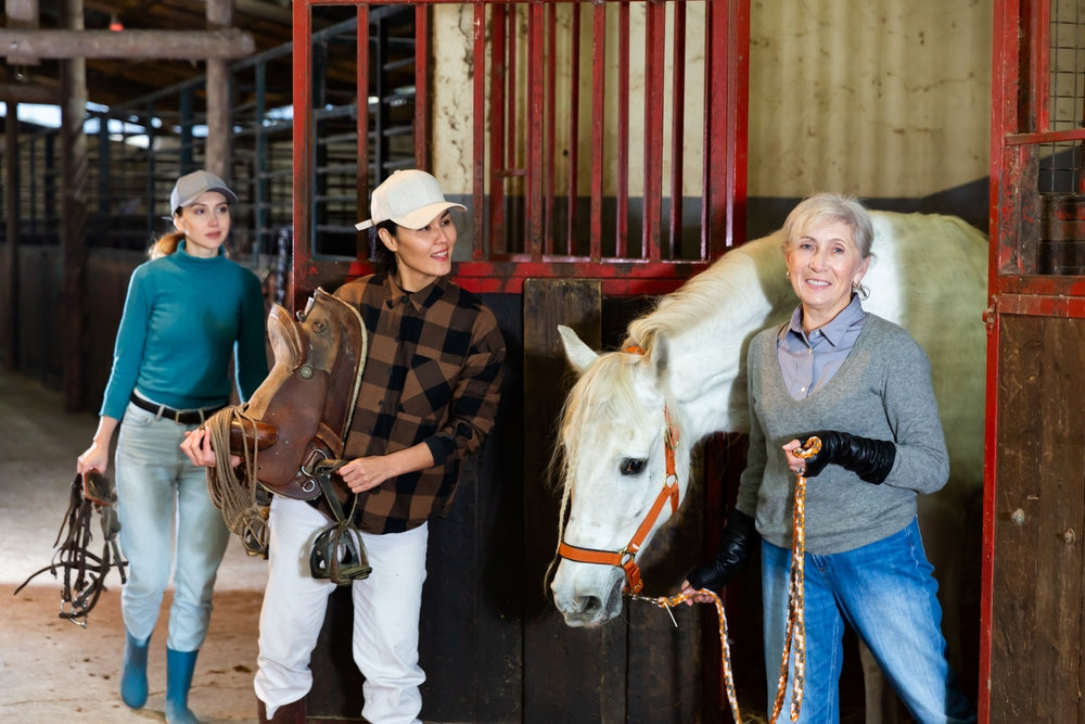 Older Horses Digestibility: Vet Tips for Feeding in 2025