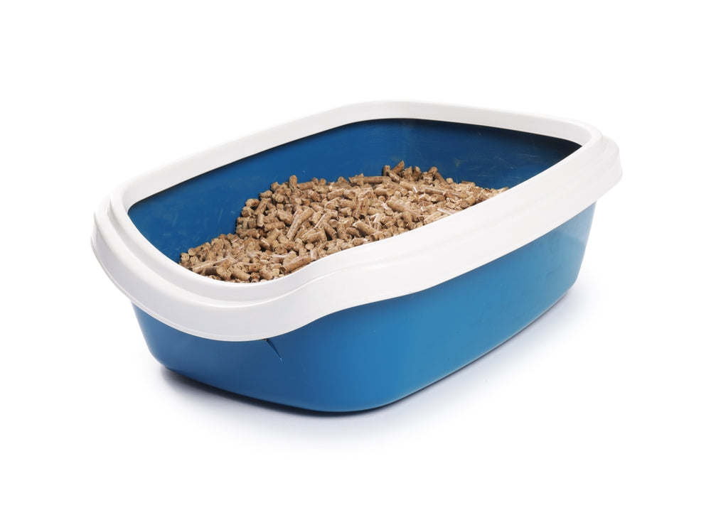 How to Choose the Best Litter Tray: Size, Covered vs Open, Dog Proofing, Odour and Cleaning