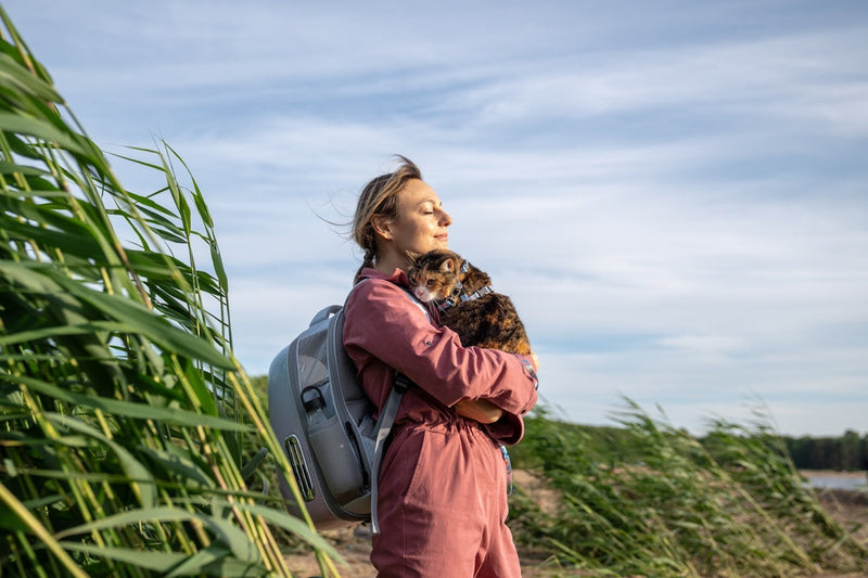 Hiking With a Cat