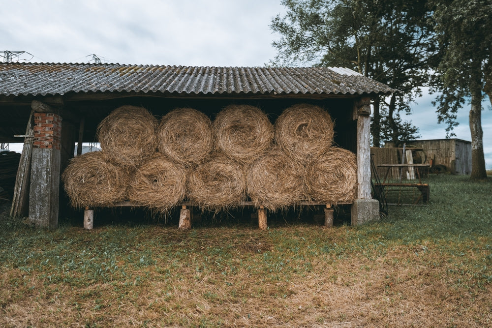 How To Store Hay Safely for Horses and Cattle