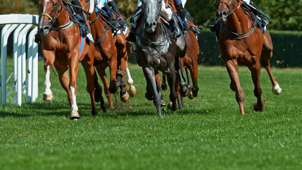 Cobalt Use Has No Known Benefit for Performance Horses: Vet Warning for 2025 🐴💉⚠️