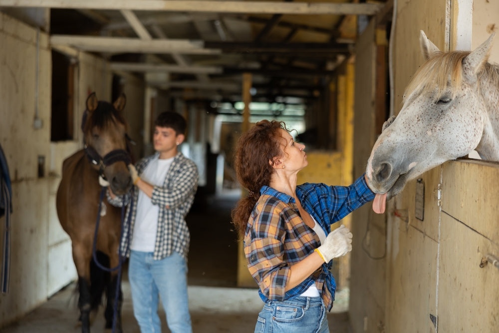 Biosecurity for Show Horses: What To Do Before, During, and After Events