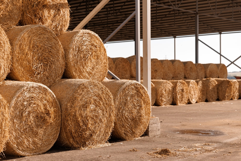 Vet Advice on Round Bale Hay Storage for Horses 2025 🐴🌾