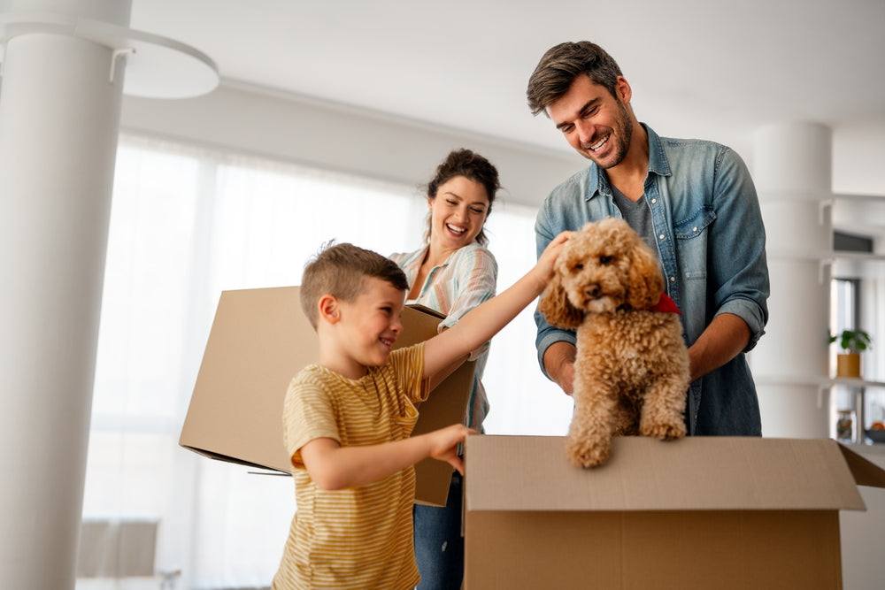 🏡🐾 The Ultimate Guide to Moving With Pets and Helping Them Feel at Home 💛🐶🐱