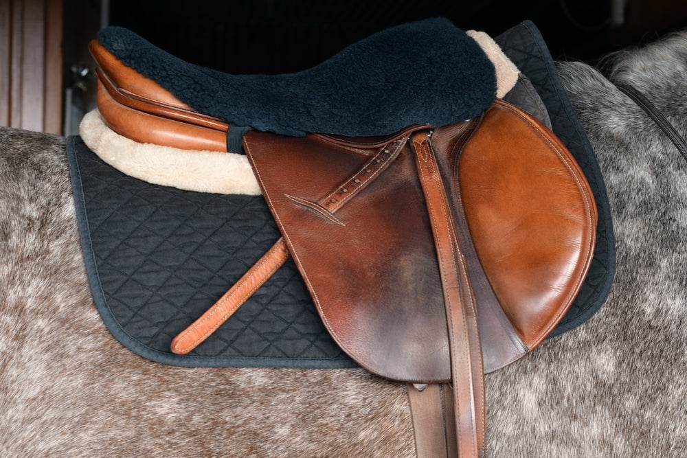 How to Check If a Saddle Fits Your Horse Properly