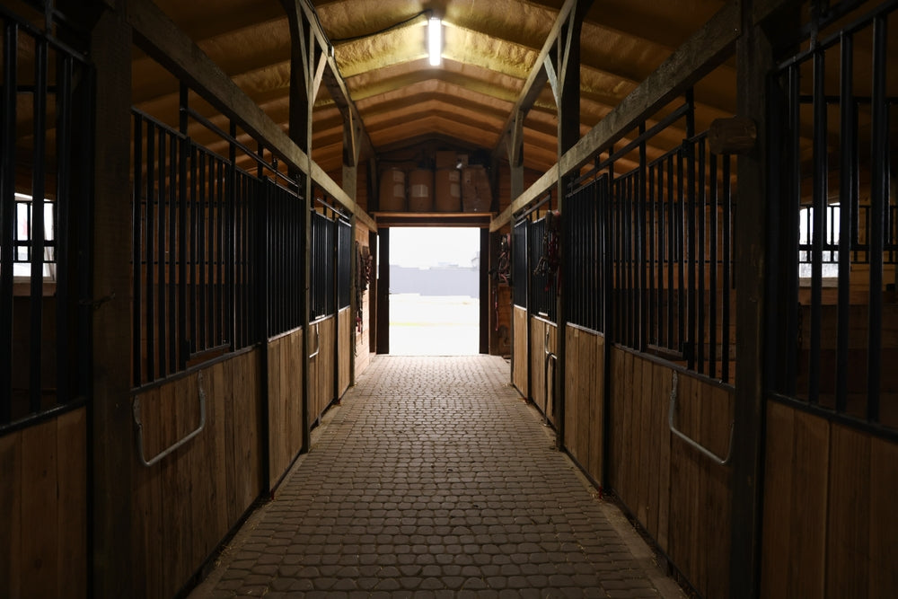 Horse Barn Construction Tips That Actually Matter