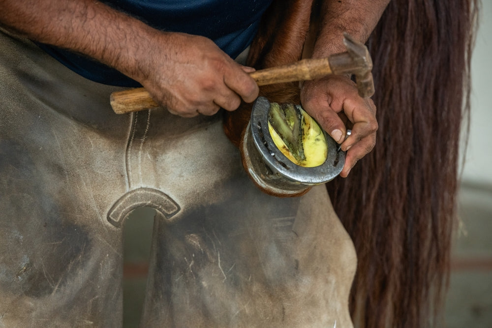 Does Hoof Sole Packing Help Horses on Hard Ground?