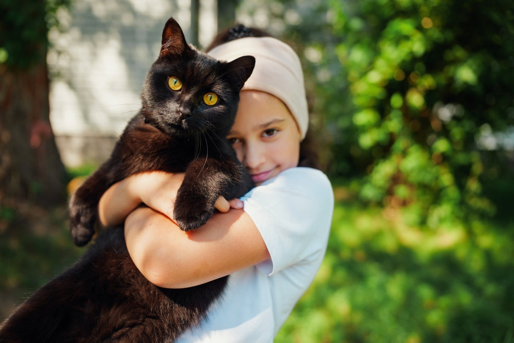 Cat Body Condition Score
