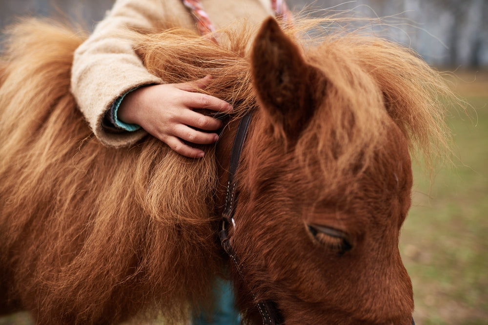Botulism in Horses: Signs, Emergency Treatment, and Prevention