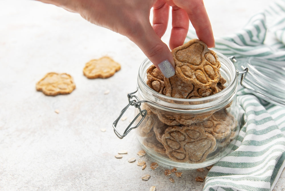 Vet-Approved Guide: The Benefits of Homemade Pet Treats vs Store-Bought 🐾🍪